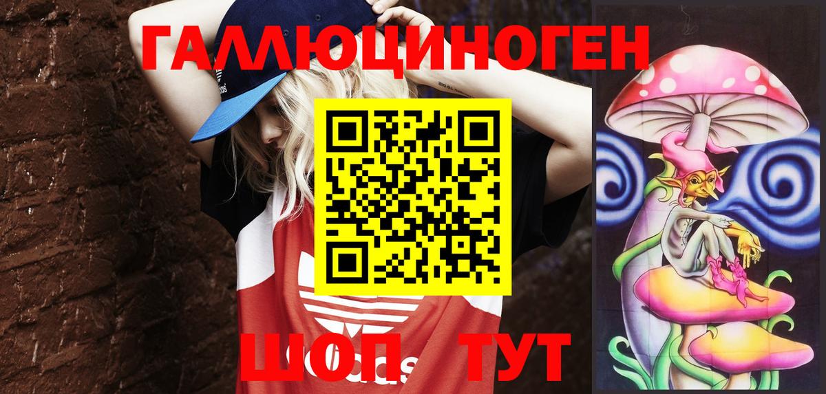 Псилоцибиновые грибы GOLDEN TEACHER Грозный
