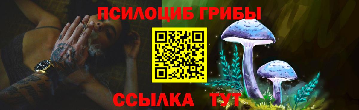Грозный  Псилоцибиновые грибы мицелий  Вход с VPN 