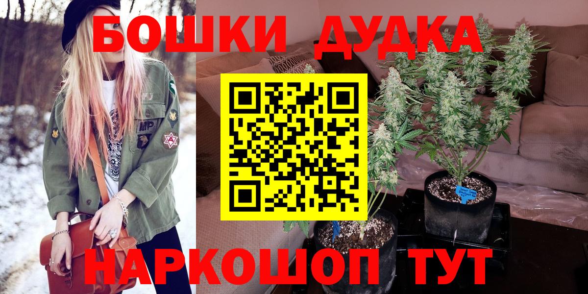 Шишки марихуана VHQ  Вход с VPN  Грозный  МАРИХУАНА Amnesia  Марихуана Bruce Banner 
