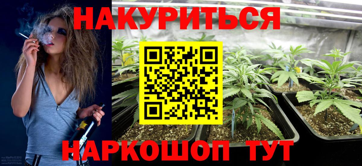 Шишки марихуана конопля Грозный